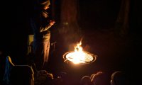 Campfire on a Chilly Evening in the California Redwoods