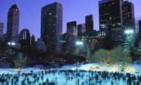 Central Park Winter