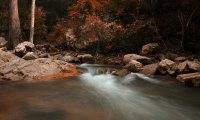 Autumn Evening Stream