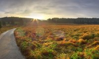 Sunrise Meadow Ride on Horseback