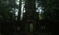 The Forest Temple