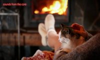 Cat purring by a fire