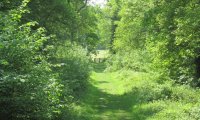 English Countryside in Summer