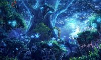 Enchanted Faerie Forest at Night