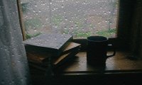 Reading by the Window on a Rainy Day