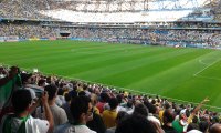 Druming fans at a world cup soccer game