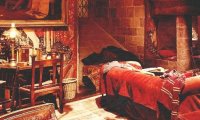 A Cosy Evening in the Gryffindor Common Room