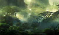 Ambient Music for Jungle Encounters