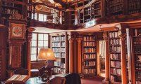 Your Library in Camelot Castle