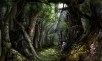 D&D Forest Travel