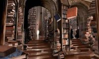 Rainy Hogwarts Library Study