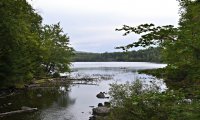 Rainy Evening at the Lake