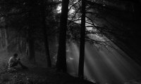 Night Hike on the Appalachian Trail