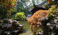 Garden with birds