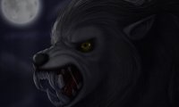 The Forest of the Werewolf