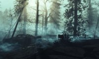 Fo4- Hiking through the Forests of Far Harbor