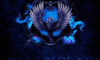 Ravenclaw Study