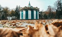 Abandoned Circus Cages