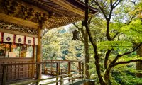 Japanese Zen Garden Sounds for Meditation