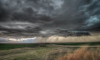 Calm Meadow and Light Rain