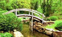 Zen Garden with Breeze and Birds