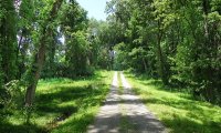 A Quiet Walk Along the Road to Meryton