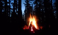 Campfire at night