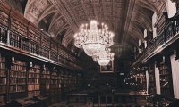 Dark Academia Library