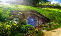 In the House of Tom Bombadil