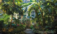 The New York Institute's Greenhouse