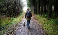 Walking in the park