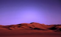 Desert night