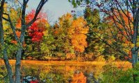 Autumn by the Lake