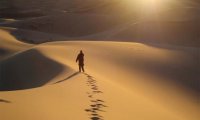 Walk in the Desert