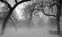 Walking through a snow storm