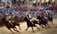 Palio Horserace in Siena