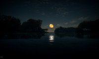 Gently rolling waves on a lake in the forest at night