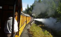 Traveling on a Train