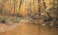 rainy creek canyon