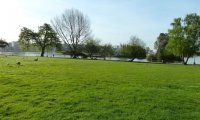 Sitting next to the great lake in spring