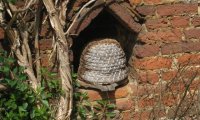 Monastery Apiary