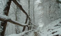 Stopping by Woods on a snowy evening