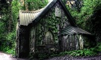 Witch's cabin in the woods