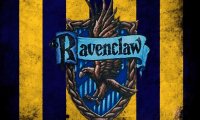 Ravenclaw On A Blustery Night