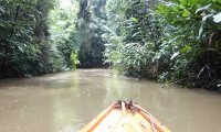 Paddling down the Amazon