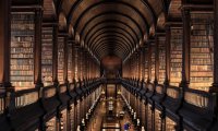 Surrounded by Books on a Stormy Evening