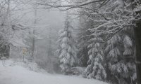 A windy winter walk