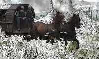 Travel in the Snow via Horse, Carriage and Foot