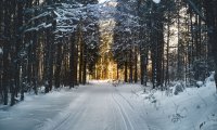 Riding in cavalry in winter