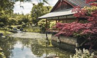 Simple Japanese Garden